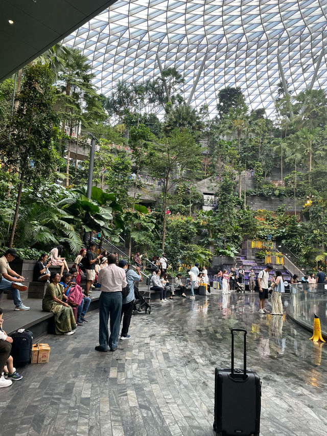 【チャンギ空港】世界一美しい／洗練された空港／シンガポール