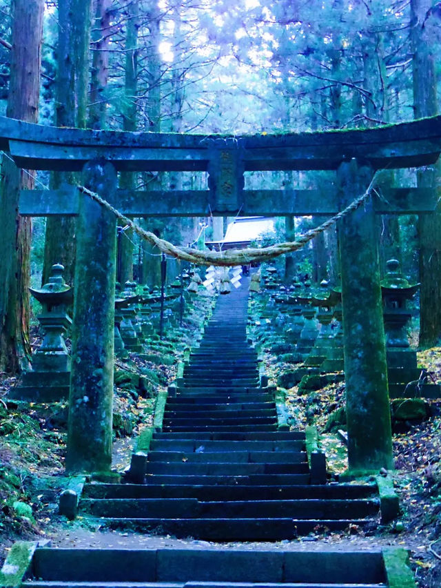 【南阿蘇】異世界に迷い込んだかのような神秘の世界へ！上色見熊野座神社