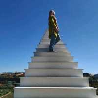 Dalat Delights: Exploring Vietnam's Hidden Gems