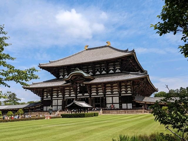 日本奈良-參拜世界遺產的青銅巨佛：東大寺