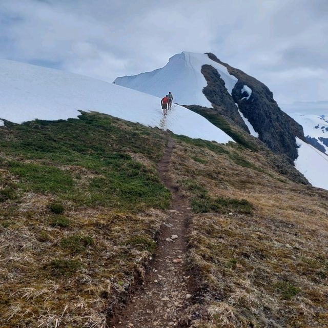 阿拉斯加-朱諾山大環線跑旅