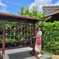 kan machi cafe