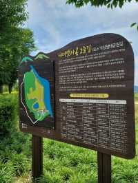 뜨겁지만 초록풍경에 힐링되는 악양생태공원💚