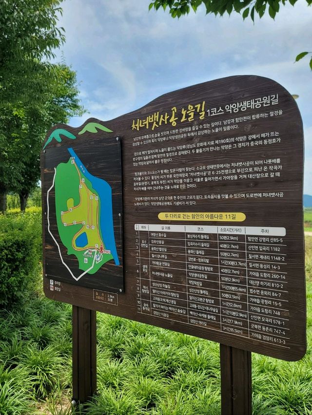 뜨겁지만 초록풍경에 힐링되는 악양생태공원💚