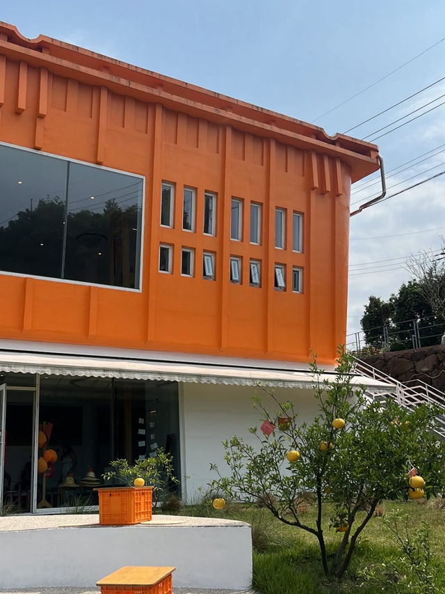 🌞제주/조천읍 사랑스러운 감귤 컨셉✧ ˖