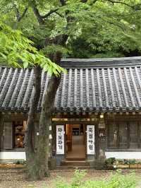 피톤치드 가득한 나무가 우거진 여름 숲 🌳한가운데 마음 공부, 사색할 수 있는 여름 여행지 추천 🍵