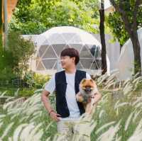 Green Season พานอนเต็นท์โดม