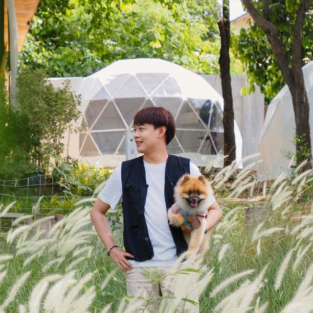 Green Season พานอนเต็นท์โดม