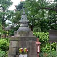 慈光院庭園：匠心設計，必到之處