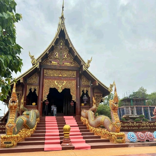 วัดสว่างหัวนาคำ จ.กาฬสินธุ์