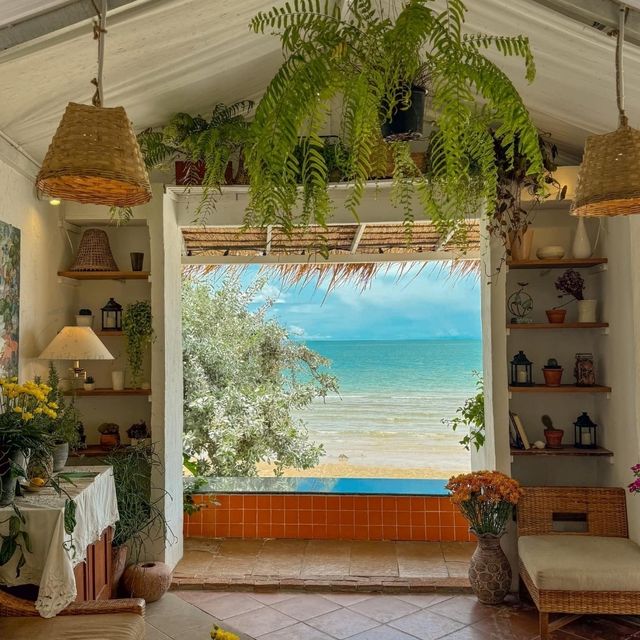 🌼Chaplu Cafe & Restaurant