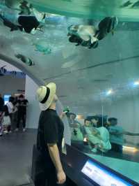 무료로 즐기는 아쿠아리움이 있는 곳🐠