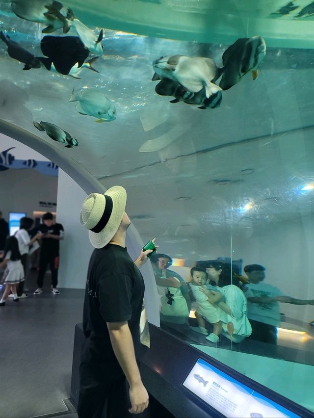 무료로 즐기는 아쿠아리움이 있는 곳🐠
