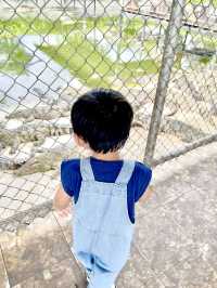ตะลุยสวนสัตว์ Sriayuthaya Lion Park