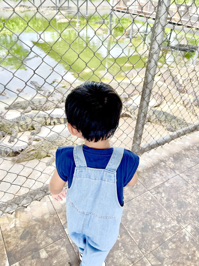 ตะลุยสวนสัตว์ Sriayuthaya Lion Park