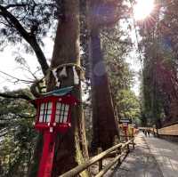 距離東京最近的自然景點！高尾山