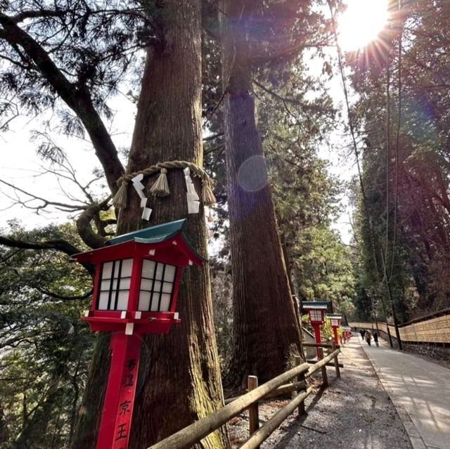 距離東京最近的自然景點！高尾山