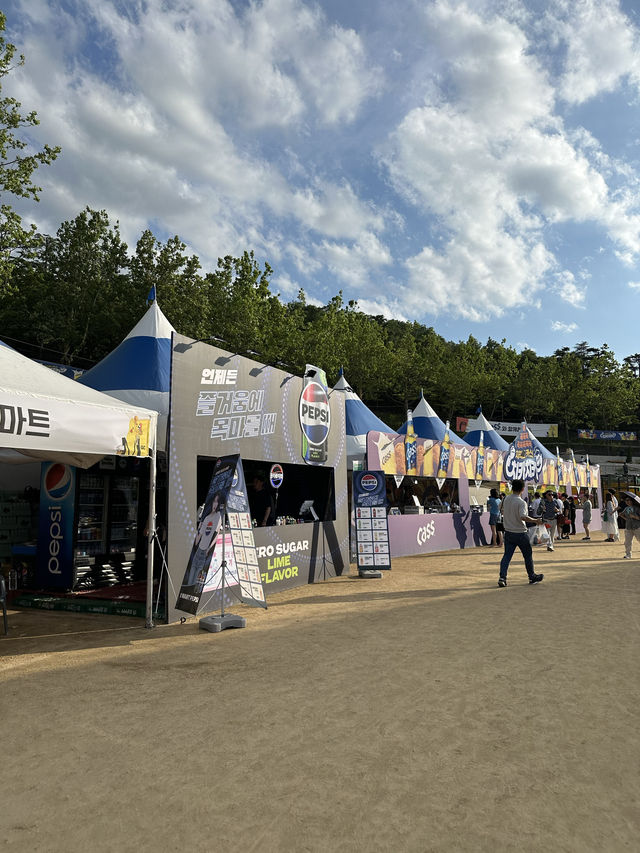 【韓国/大邱】チキンとビールのお祭り🍗🍺