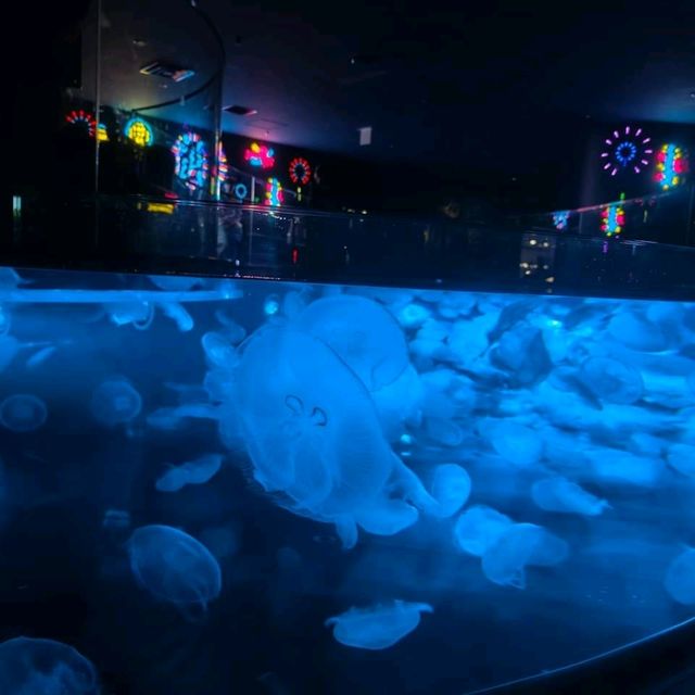 日本東京「墨田水族館」
