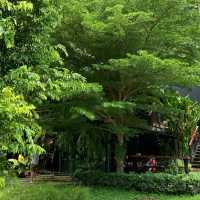 ร้าน Into the forest @Krabi
