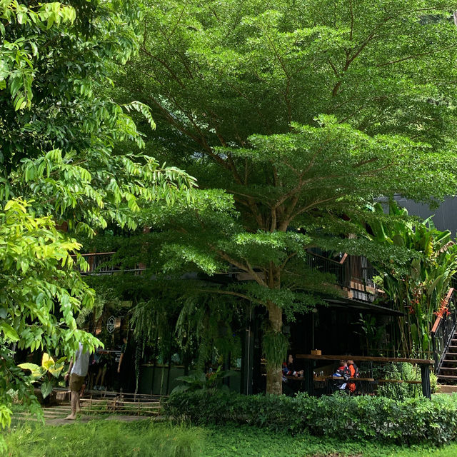 ร้าน Into the forest @Krabi