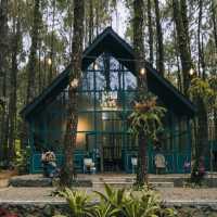 TANGKAL PINUS | NEW CAMPING GROUND AT LEMBANG