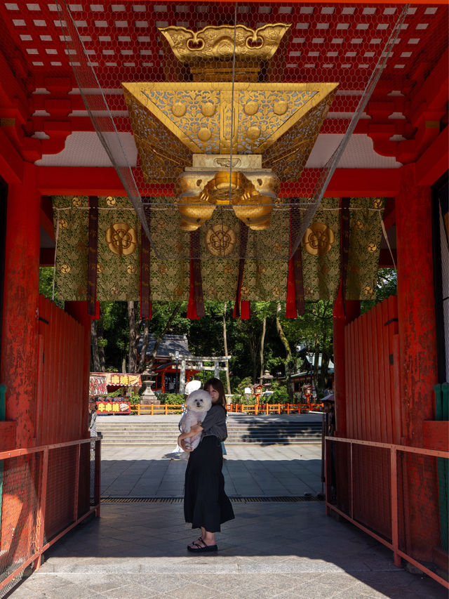 🐶OK✨知ってた？八坂神社に美容水がある✨気になるところに浸すだけ✨この夏ぜひ💫