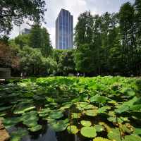深圳中心公園：現代藝術、環保理念，多元化活動空間