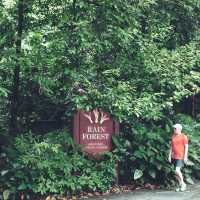Singapore Botanic Garden