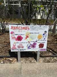 【宝塚】ファンには嬉しい宝塚駅のフォトスポット