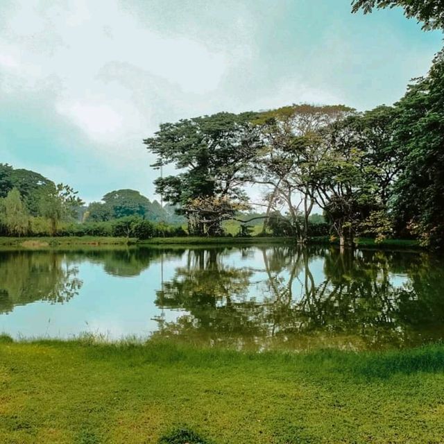 🌳คาเฟ่ในสวน บรรยากาศดี @กาญจนบุรี