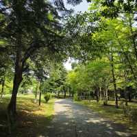 일본여행 삿포로 예술의 숲 미술관 札幌芸術の森