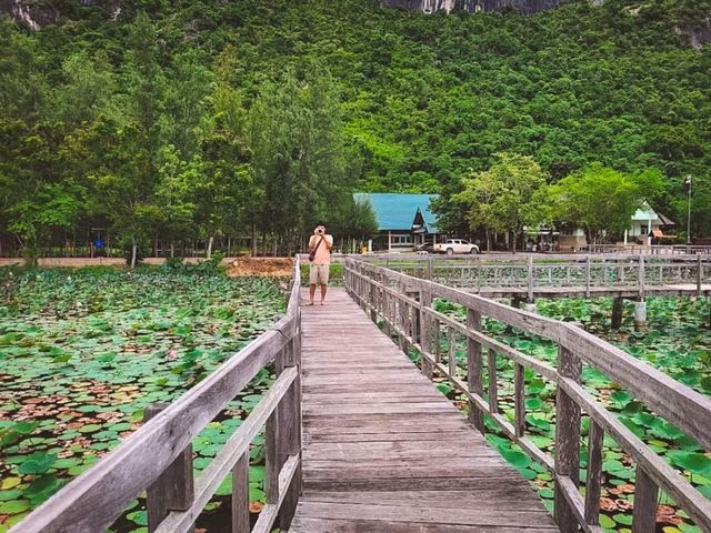 🌷ชมวิว ธรรมชาติ บึงบัว @สามร้อยยอด ปราณบุรี