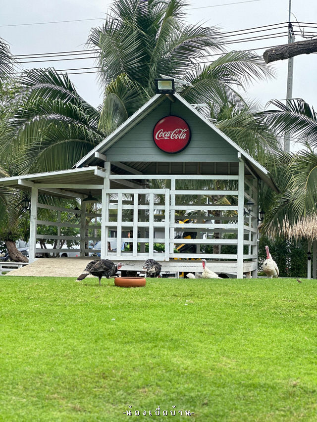 ป้าบุญ คาเฟ่ พัทยา