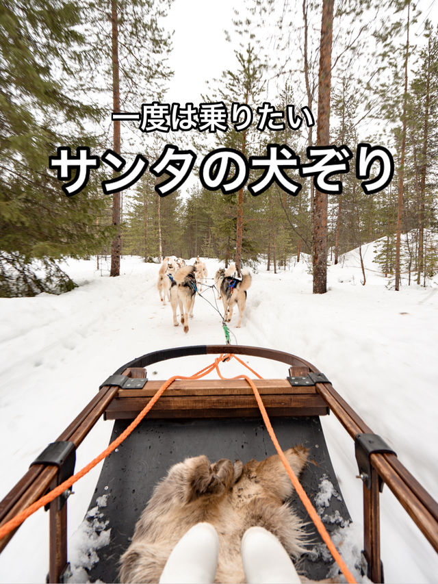 📍Arctic Circle Husky Park