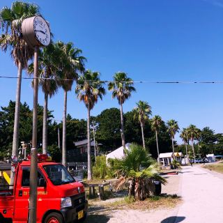 【日間賀島】滿佈章魚壺的夏日離島之旅。