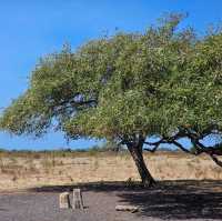 Baluran National ParkTaman Nasional Baluran