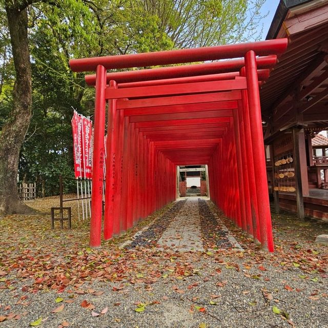 日本神社漫走，莊嚴肅穆的津島神社。