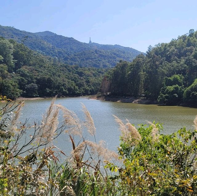 週末好去處 - 河背水塘