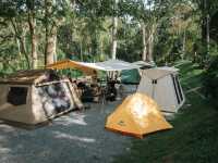 Butterfly Camping