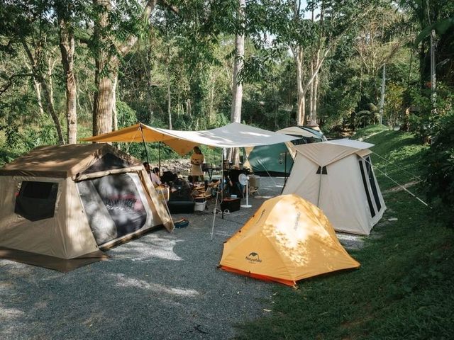 Butterfly Camping