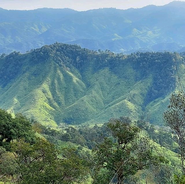 ภูสวรรค์ ช่องเย็น