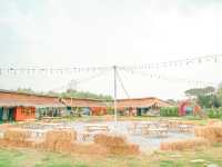บ้านสวนธรรมชาติ จ.อยุธยา