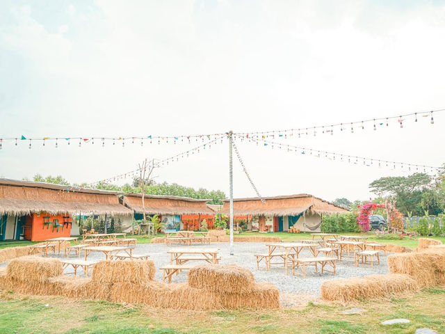 บ้านสวนธรรมชาติ จ.อยุธยา