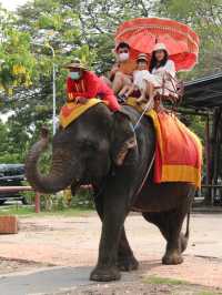 ขี่ช้างชมเมือง เดินเที่ยวโบราณสถานที่อยุธยา 