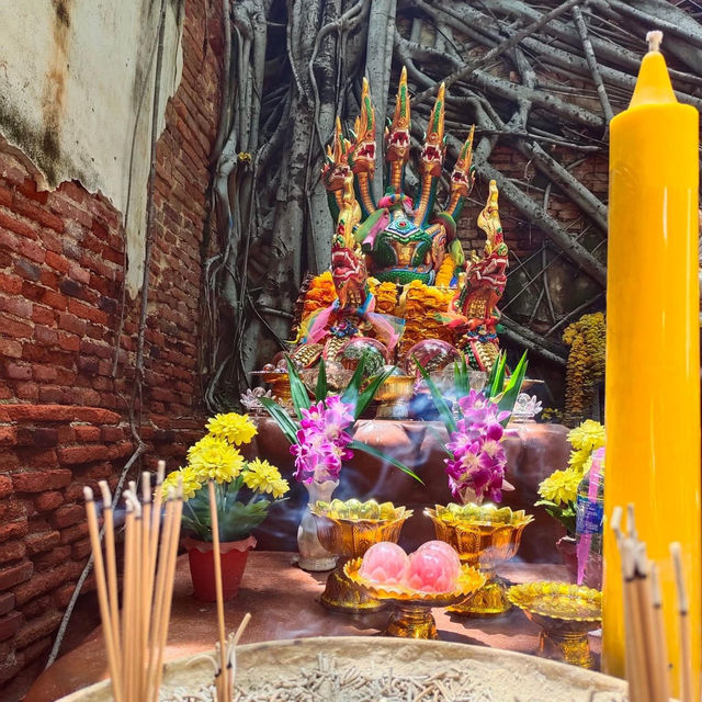 📍 วัดสังกระต่าย อ่างทอง