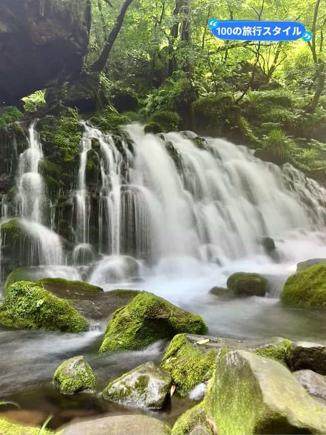 【秋田(にかほ市)】平成の滝百名の1つ！大迫力の鳥海山の湧水の滝