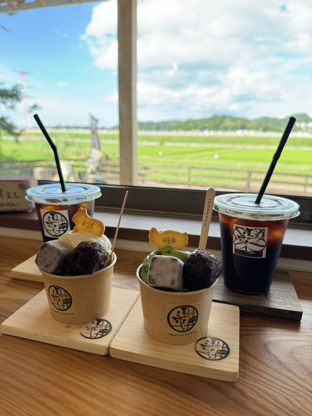 【福岡カフェ】景色を眺めながらゆっくりできるアットホームなお店✨️