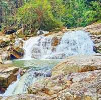 Than to Waterfall Forest Park