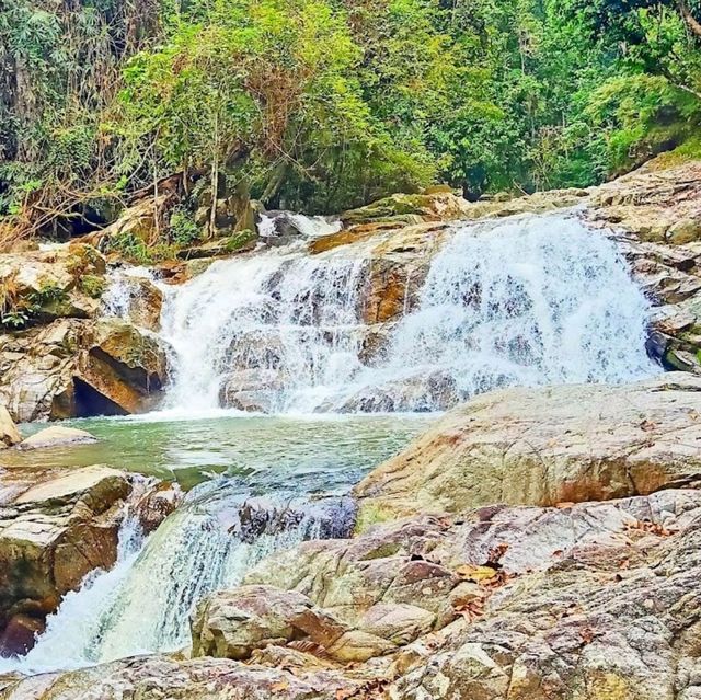 Than to Waterfall Forest Park